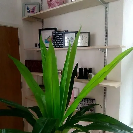 Flat 7 - Stunning Two Bed Open Plan City Center Flat